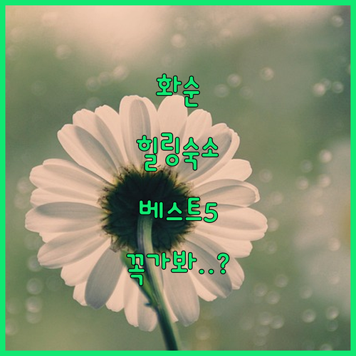 전남 화순 힐링 여행을 위한 베스트 ..