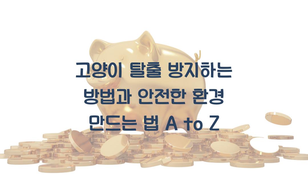 고양이 탈출 방지하는 방법, 안전한 환경 만드는 법