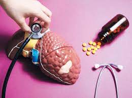 두릅 효능 6가지 채취시기 부작용 두릅나물 데치는 방법 종류 땅두릅 참두릅 개두릅