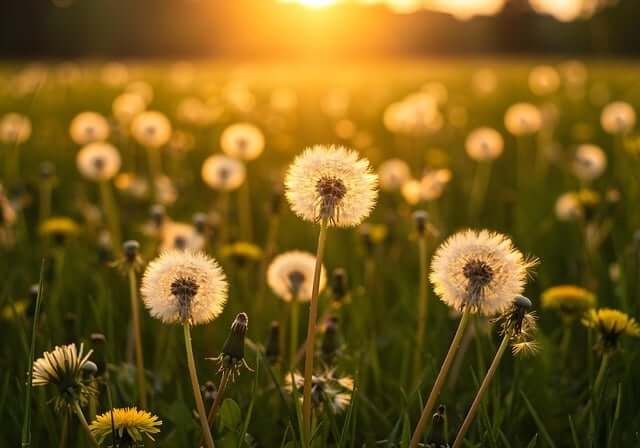 2025년 6월 황금연휴 가볼만한 곳 BEST 5