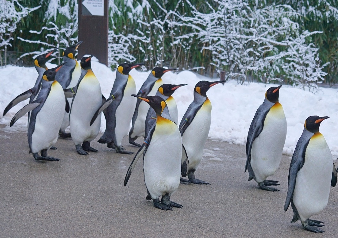 빙하 붕괴는 얼음이 좀 녹는다고 얼마나 큰 변화가 있을까!