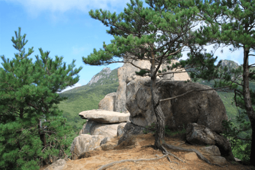 가야산25