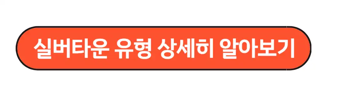 실버타운 유형상세정보