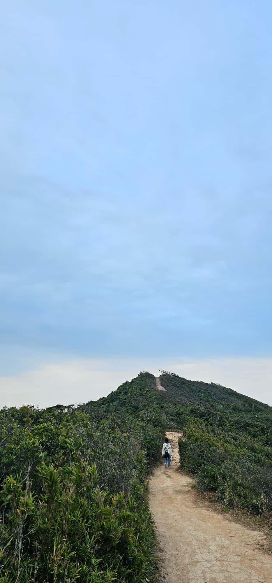 드래곤즈 백 후기