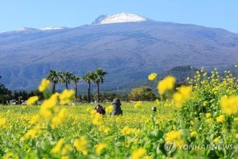 실시간 제주도 제주날씨 주간예보로_15