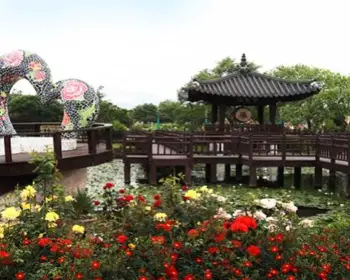 곡성 장미축제_6