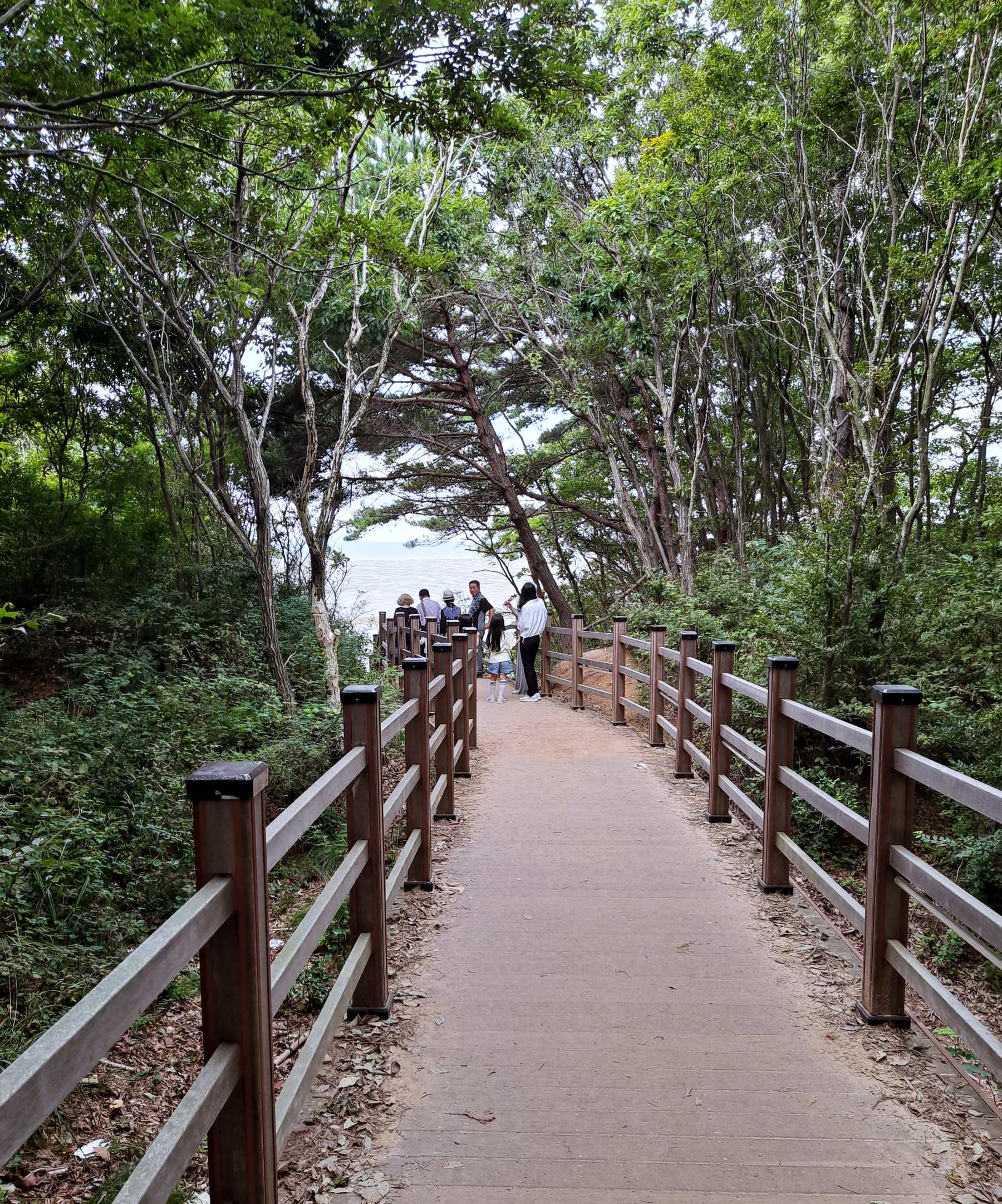 탐방로 내려가는 길