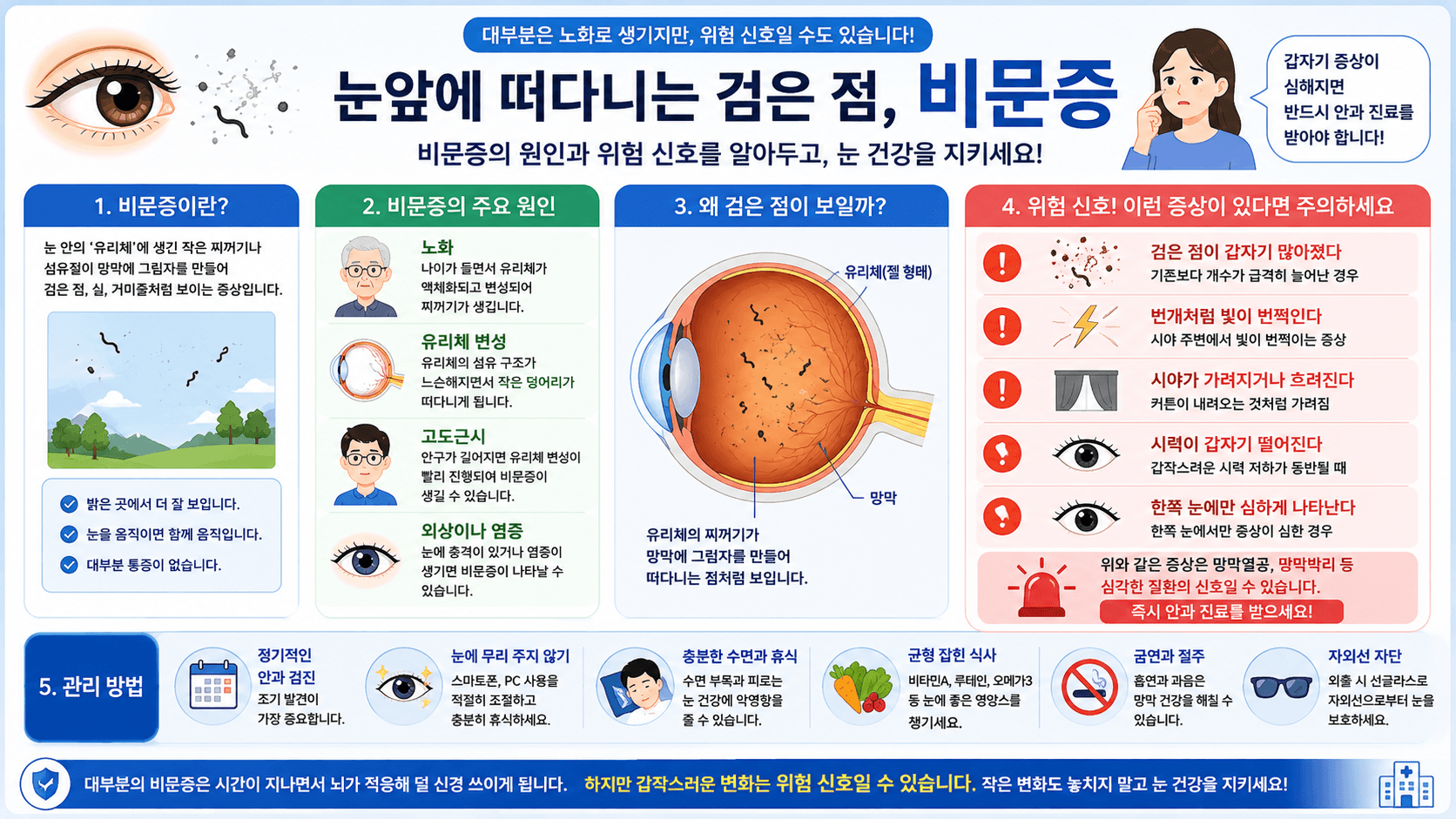 비문증의 원인과 위험 신호를 설명하는 건강 인포그래픽