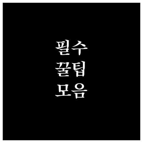 송현동 쓰레기 배출, 과태료 걱정 없..