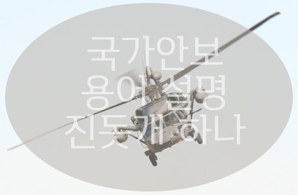 진돗개 하나