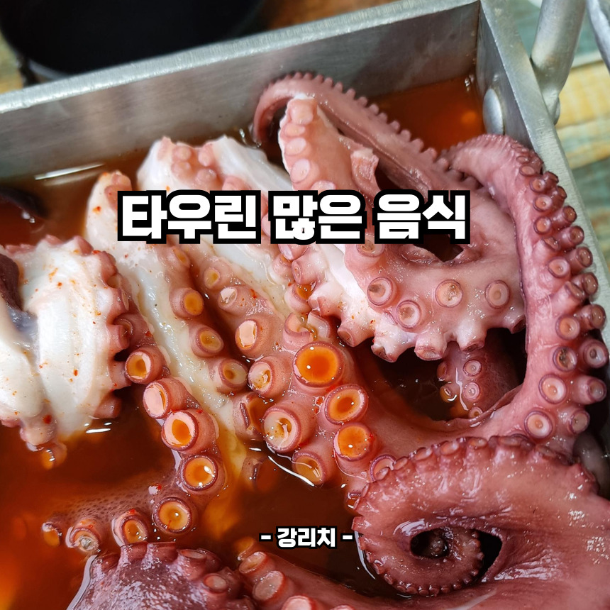 타우린 많은 음식