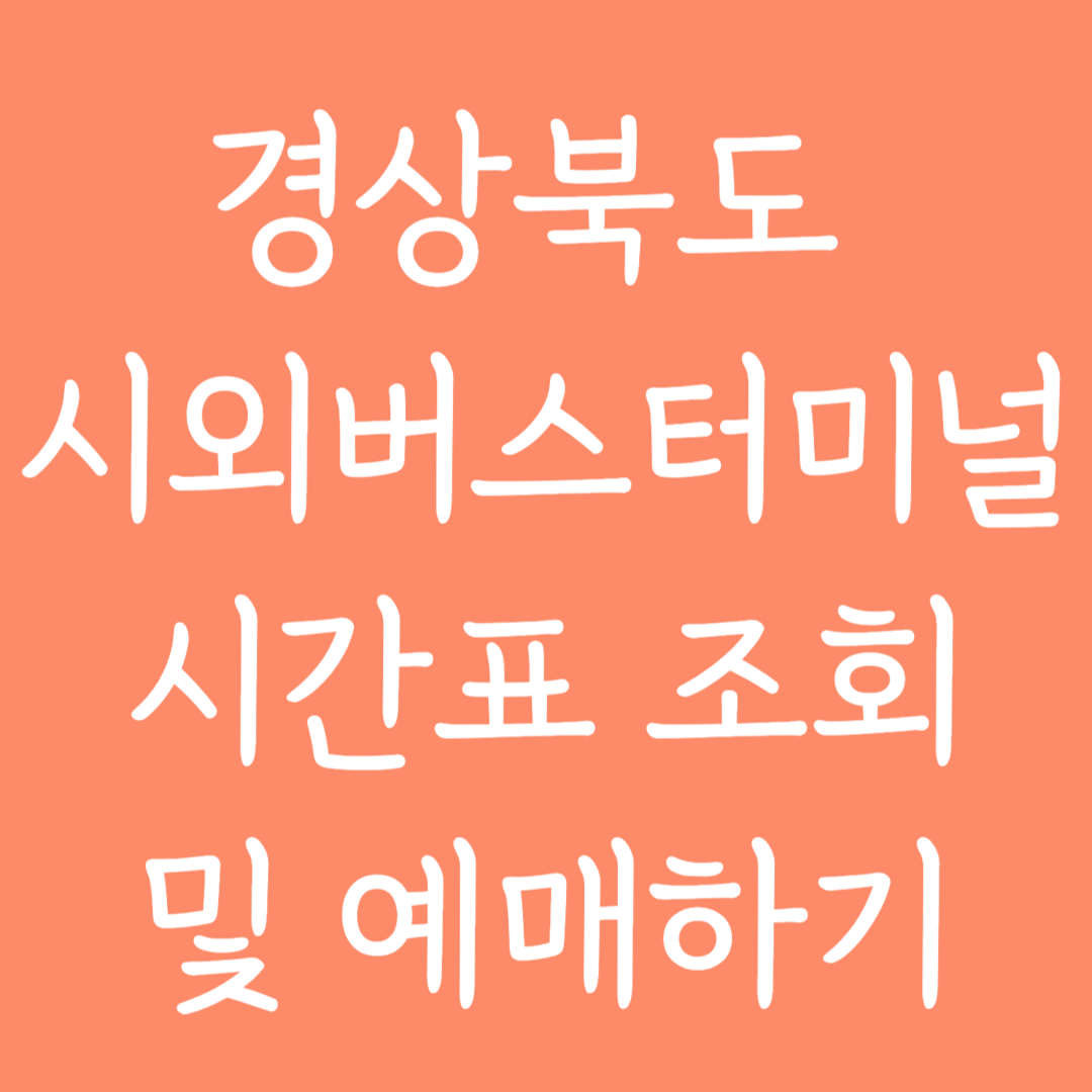 경상북도 시외버스터미널 시간표 조회 및 예매하기