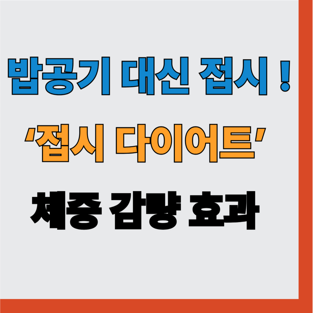 요즘 핫한 ‘접시 다이어트’ 체중 감량 효과와 실천법