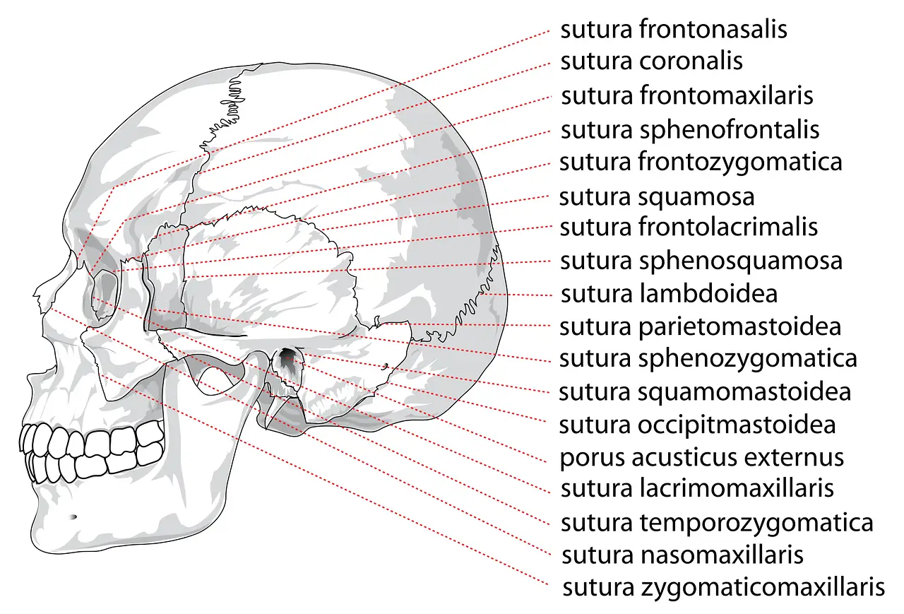 턱관절 치료방법