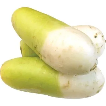 무우 효능 부작용 섭취 방법_9