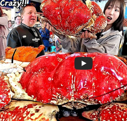 호주 먹방