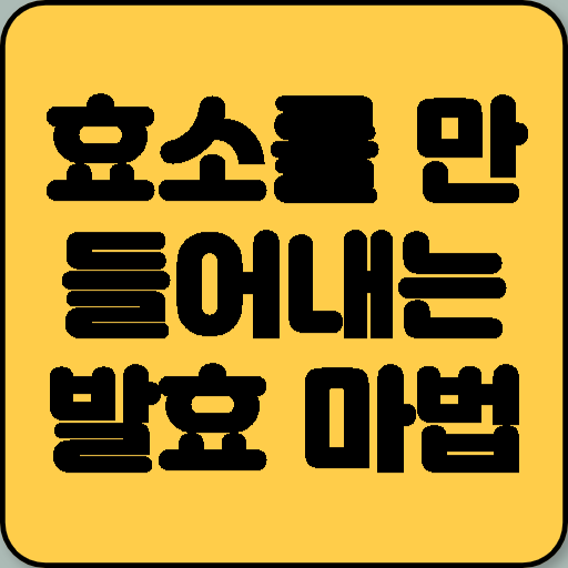 효소를 만들어내는 발효의 마법