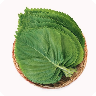 깻잎-효능