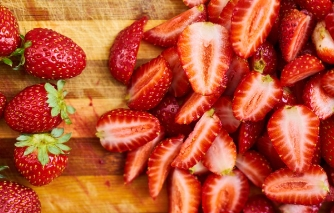 장 건강이 면역력의 핵심! 유산균과 프로바이오틱스 활용법