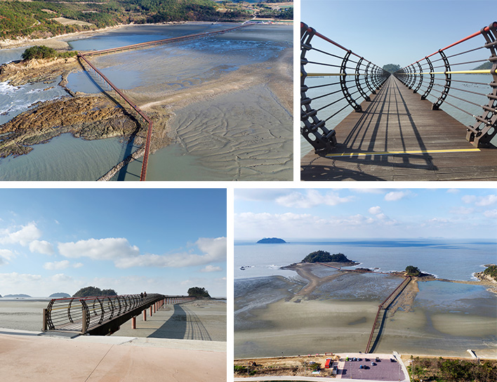 무한의 다리 갯벌(신안군 홈페이지에서 )