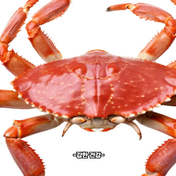 꽃게 부작용
