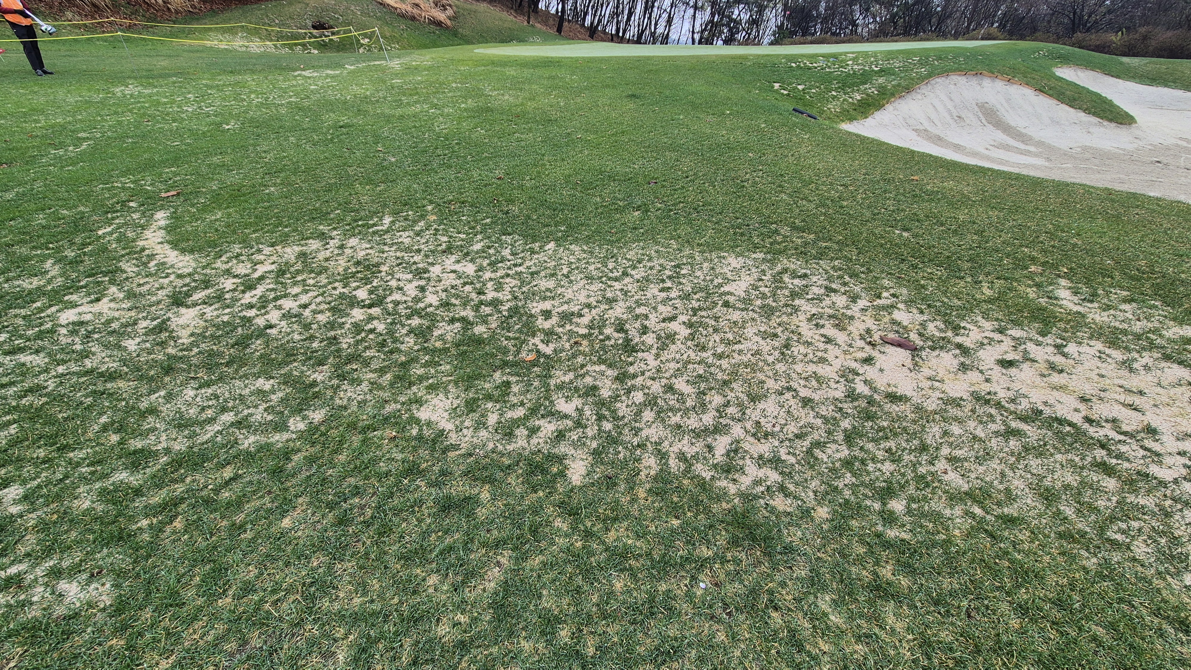 레인보우힐스cc 동-남 코스 관리 상태