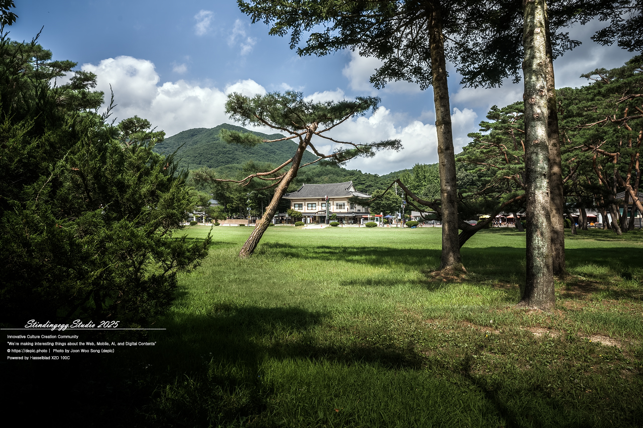 #보은 #법주사 #속리산 #생태탐방로 #속리산조각공원