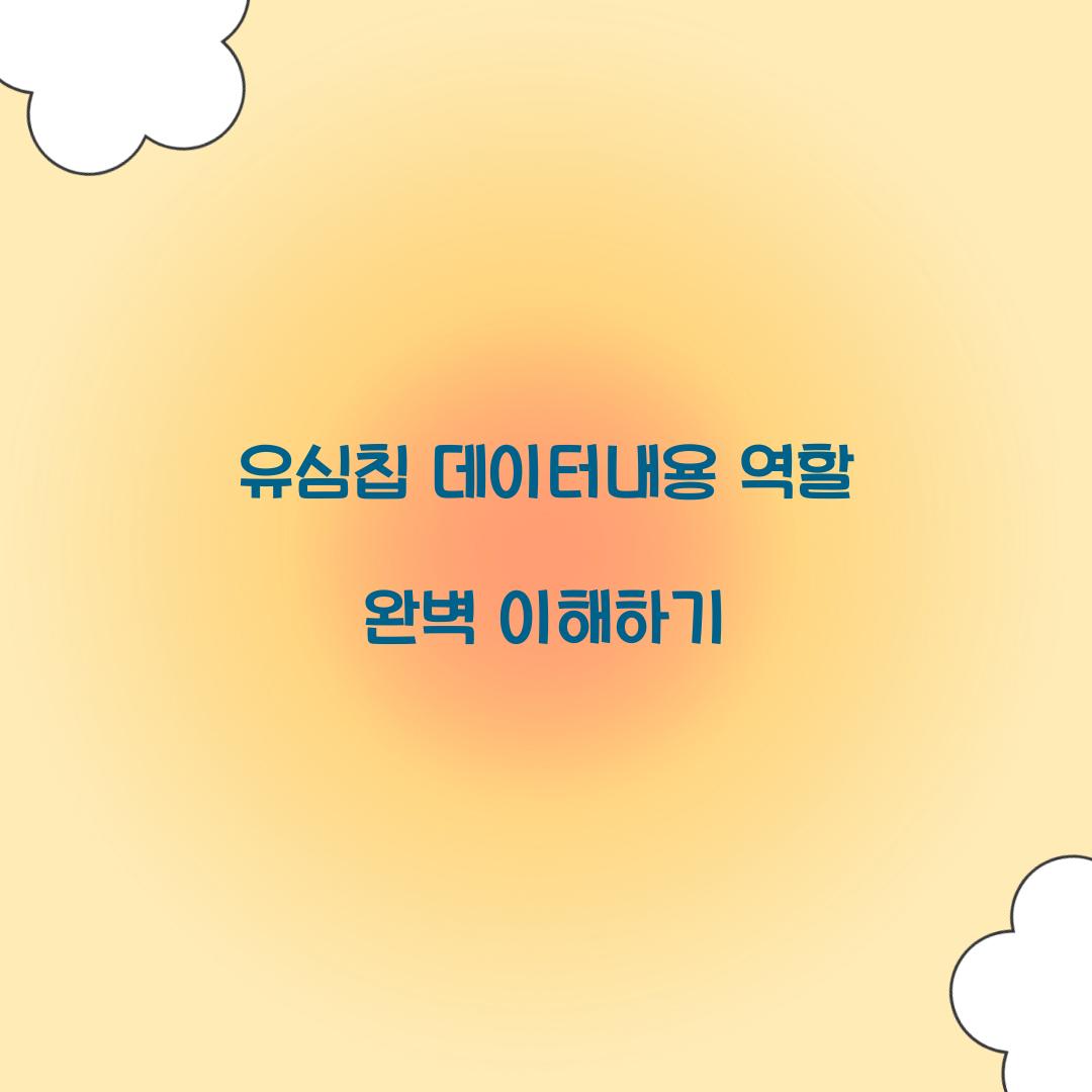 유심칩 데이터내용 역할