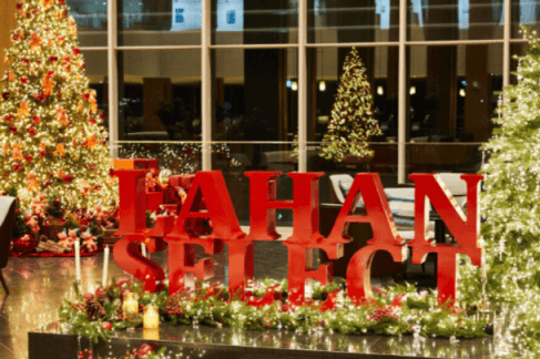 실내 트리들 사이 빨간색 lahan select 글잔