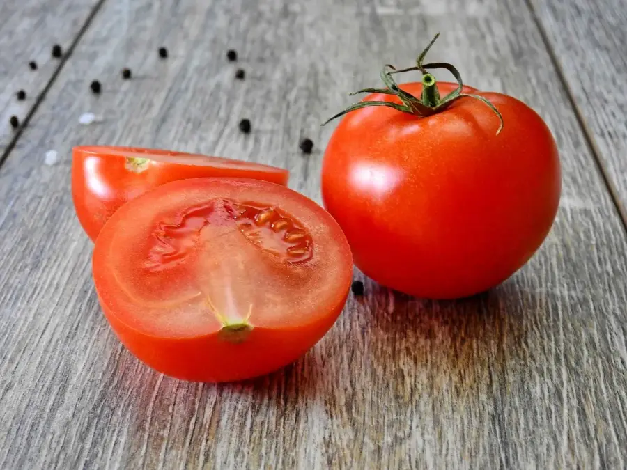 토마토 tomato