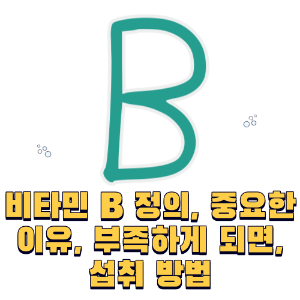 비타민 B 정의, 중요한이유, 부족하게 되면, 섭취 방법