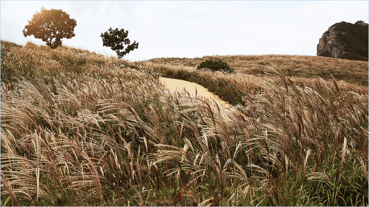 황매산-억새축제