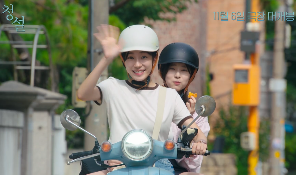 영화 청설 정보