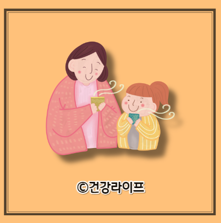 차가버섯 효능, 부작용 , 끓이는법, 먹는법