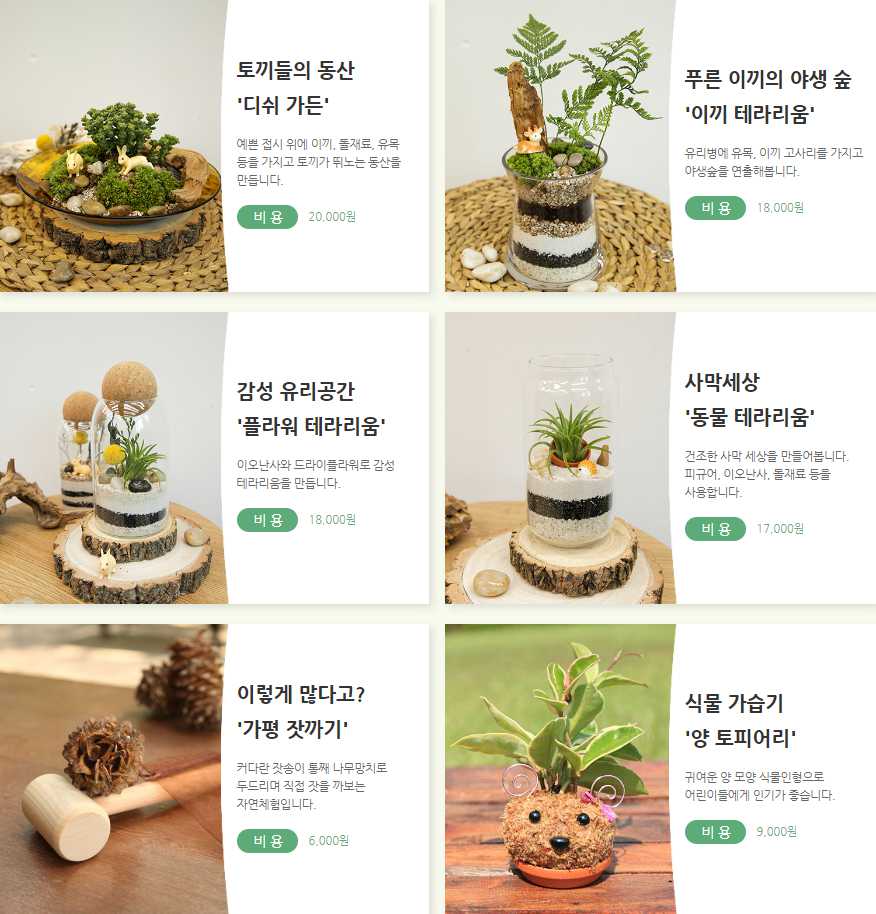 아침고요 수국전시회