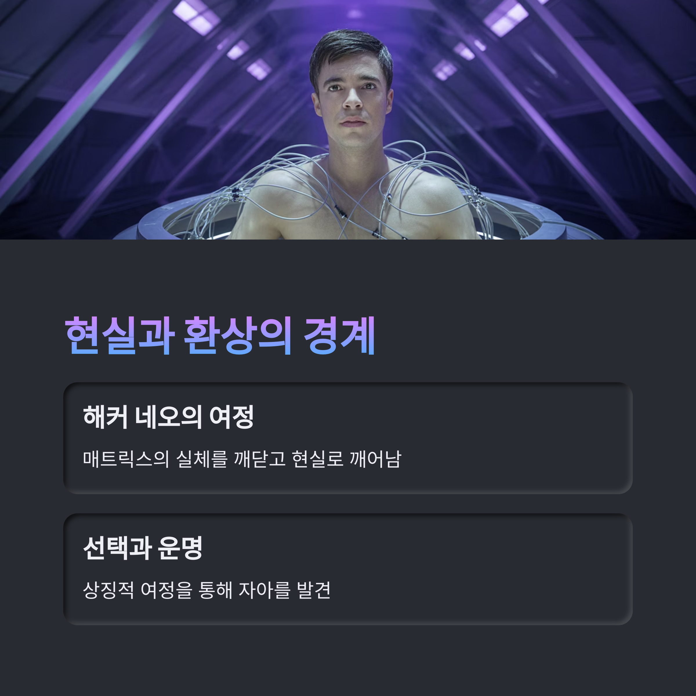 매트릭스1 줄거리 관련 사진
