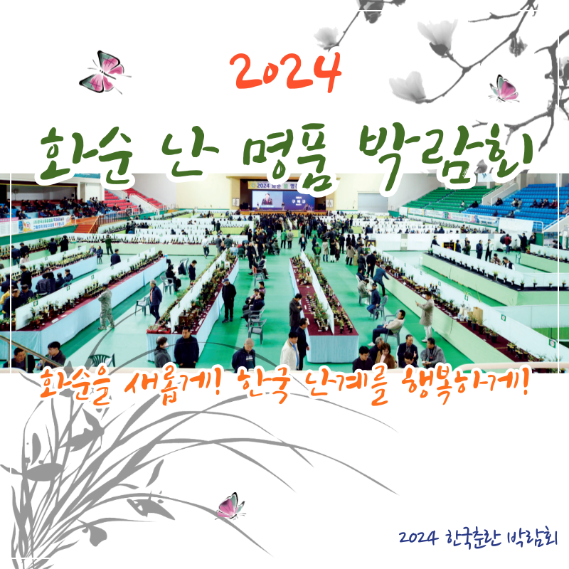 2024 화순 난 명품 박람회 감상