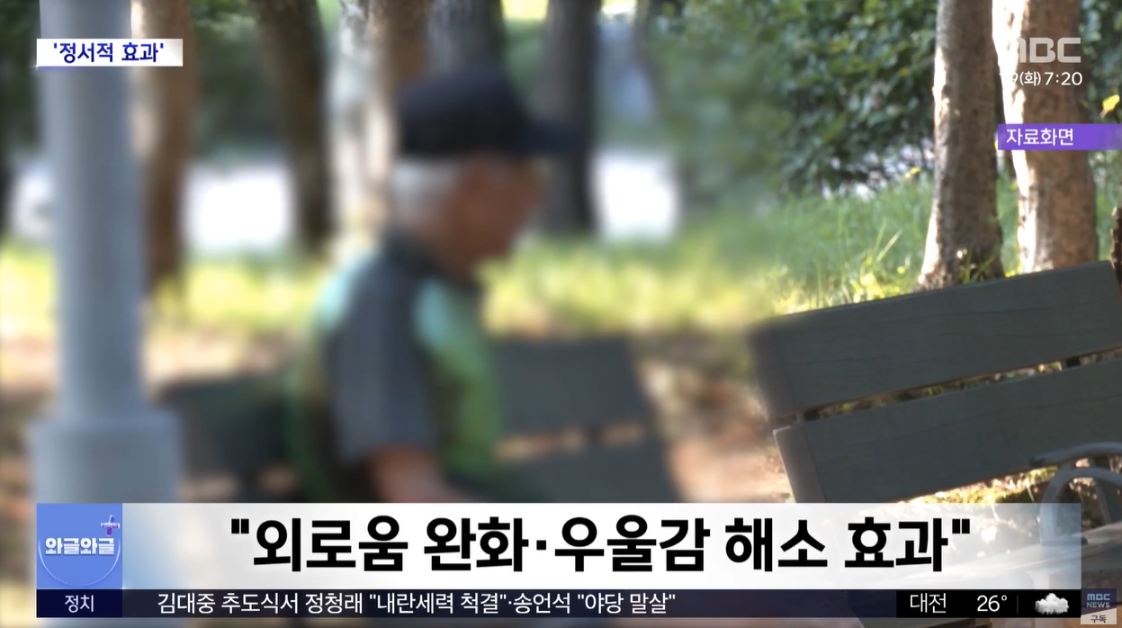 외로움안녕120 24시간 서울시 마음건강정책 전화상담 채팅상담 외로움 우울감 고립감