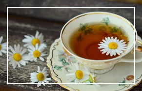 불면증에 좋은 음식