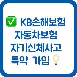 KB손해보험 자동차보험 자기신체사고 특약, 꼭 가입해야 할까?