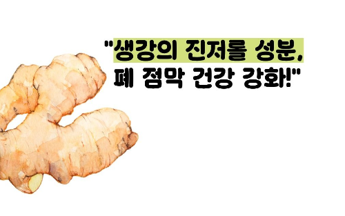 폐에 좋은 음식 10