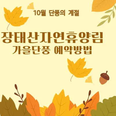 장태산 자연휴양림 가을 단풍시기 예약방법 (숨겨진 스팟)