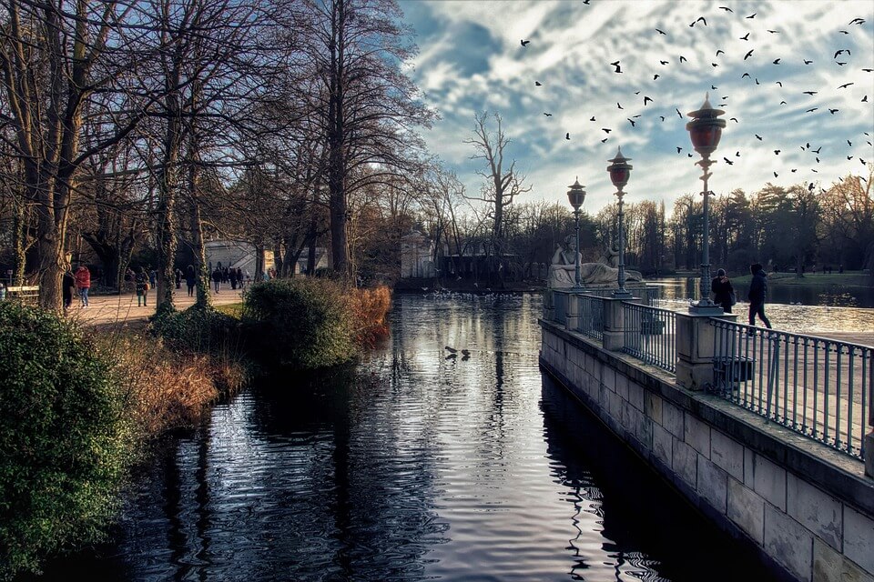 AI와 도시 나무 수종 적합성 분석 및 도시 생태계 최적화