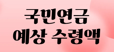 국민연금 예상 수령액