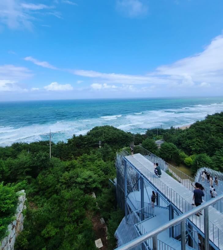 하슬라-아트-월드