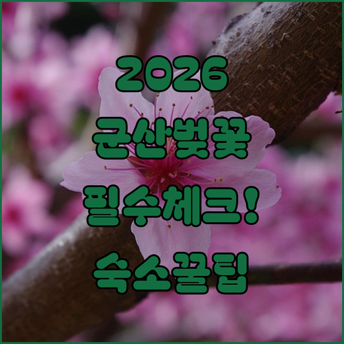 2026 군산 벚꽃 여행 체크리스트 ..