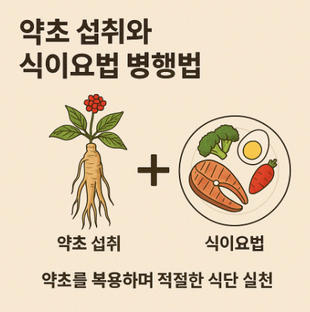 약초 섭취와 식이요법 병행법