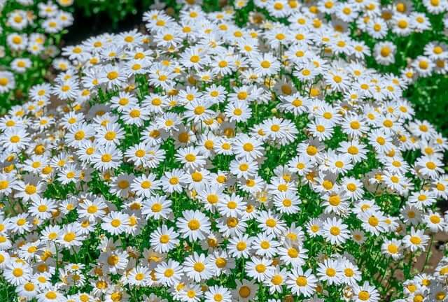 국비 교육으로 시작 가능한 프리랜서 직종