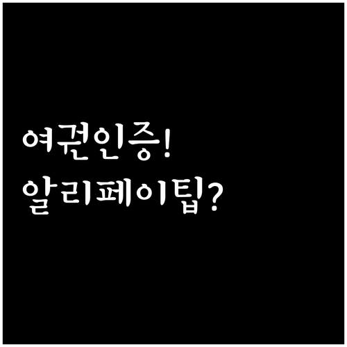 알리페이 교통카드 여권 인증 및 도시..