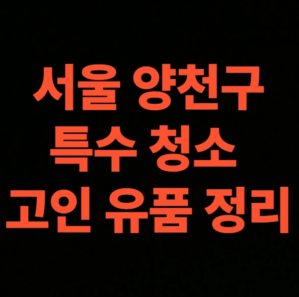 서울 양천구 유품정리 업체 비용 후기 가정 폐기물 처리 전문